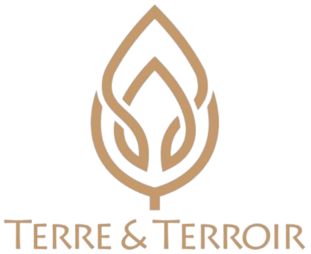 Design sans titre (7)